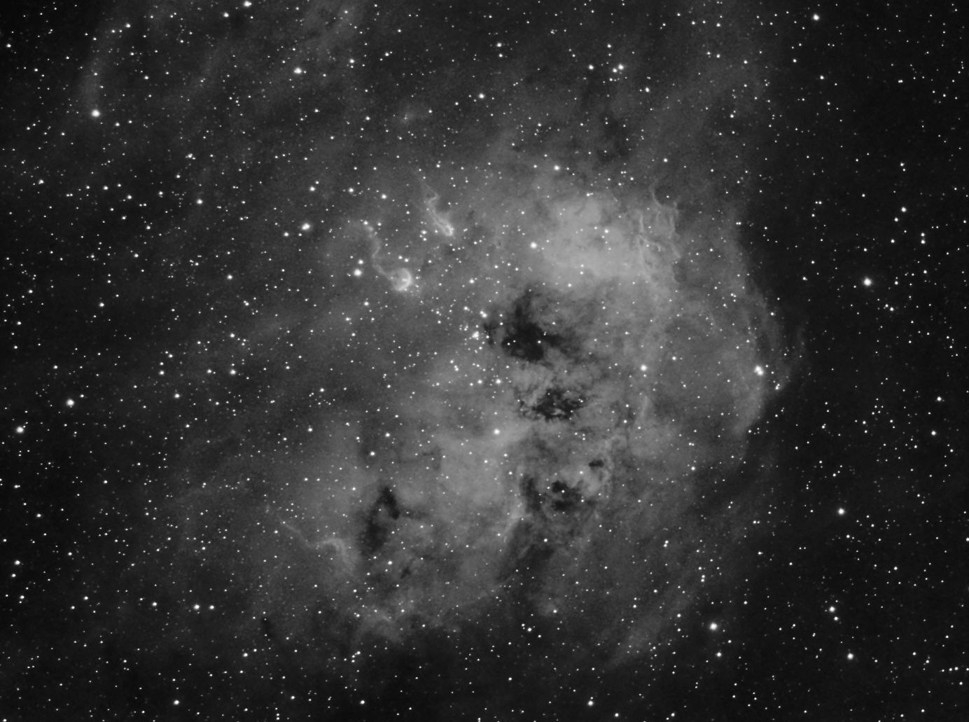 IC 410