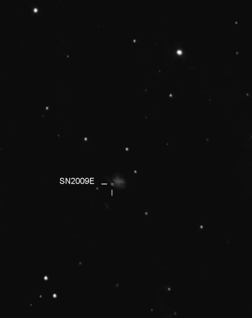 NGC 4141 mit SN2009E