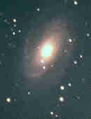 M 81