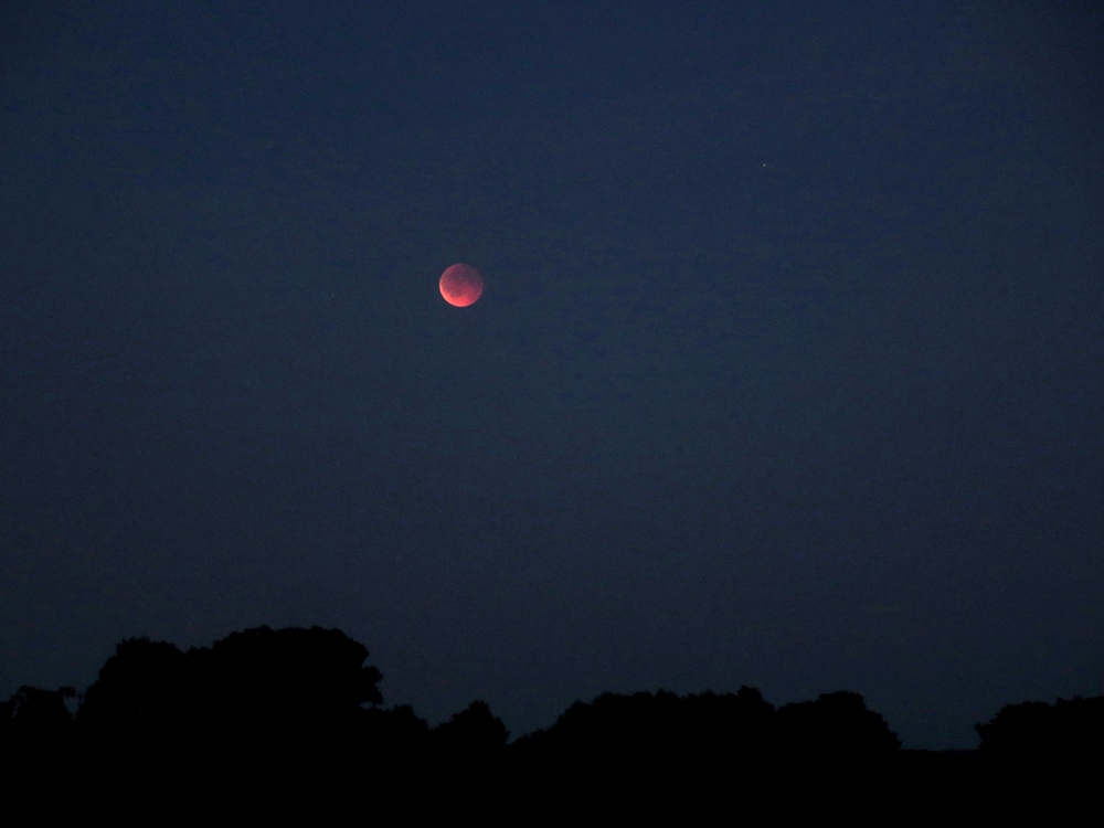 Totale Mondfinsternis am 07.09.2025 über dem Ostmoor in Buxtehude
